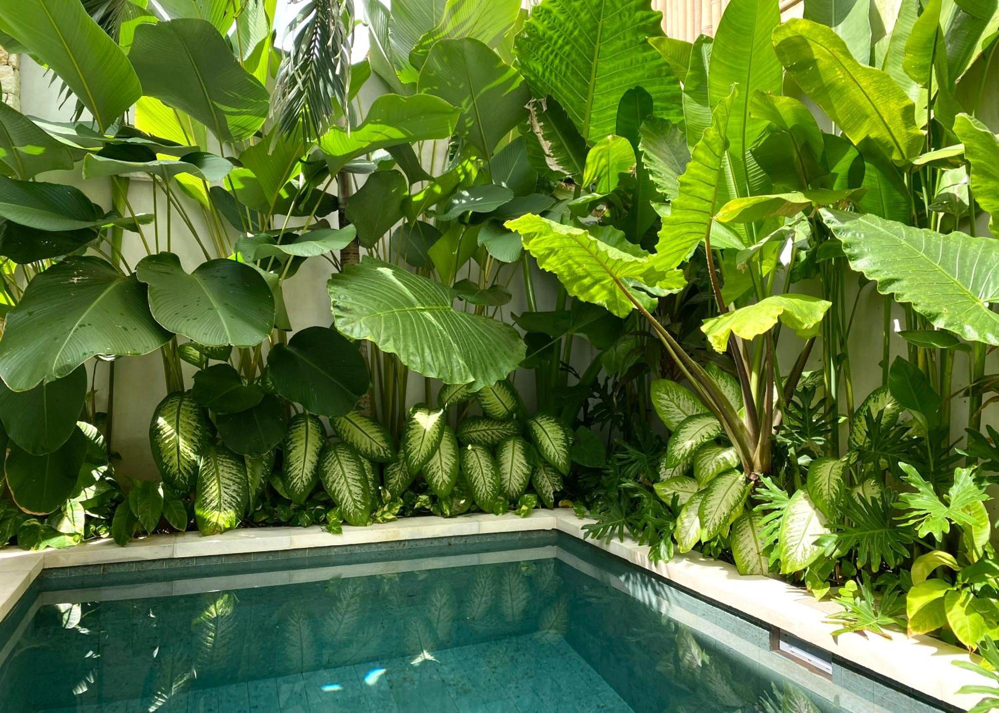 Alma Bingin Boutique Hotel 乌鲁瓦图 外观 照片